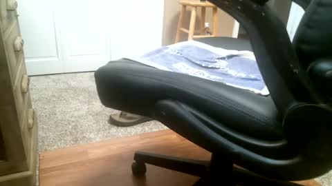 Snapshot of rocky_55 chatting on 27, 7, 2026 rocky_55 online show from 27, 7, 2026