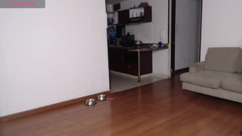 Snapshot of rogger_physique chatting on 21, 2, 2025 Rogger online show from 21, 2, 2025