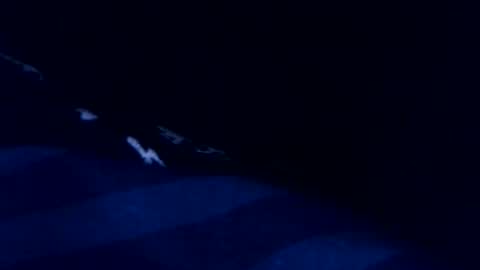 romain online show from 3, 3, 2026