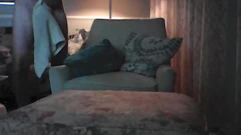 Snapshot of ronvlv chatting on 8, 7, 2026 ronvlv online show from 8, 7, 2026