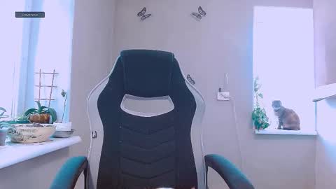 rosa843850 online show from 11, 2, 2026