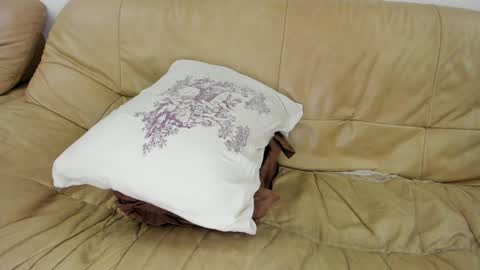 Rosa online show from 28, 1, 2025