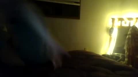 rosewillow33 online show from 19, 3, 2026