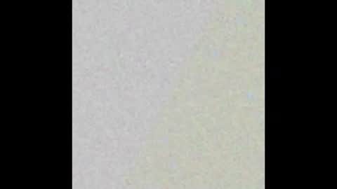 Rose  online show from 14, 2, 2025