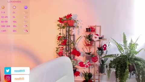 Im Ross   online show from 26, 11, 2025