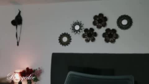 Snapshot of rougedoe chatting on 1, 3, 2026 Mistress Lana online show from 1, 3, 2026