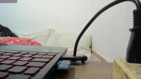 Snapshot of roxanamariahills_ chatting on 20, 10, 2025 Rosita online show from 20, 10, 2025