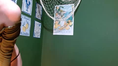 Roxie online show from 26, 9, 2025