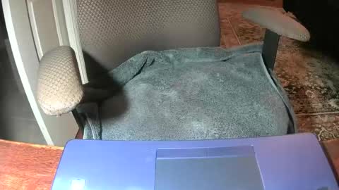 Snapshot of royer8650 chatting on 22, 6, 2026 Lookingaround online show from 22, 6, 2026
