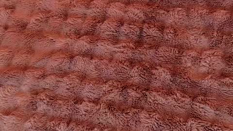 Ruby Luxe online show from 5, 4, 2026