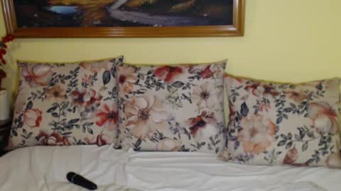 Snapshot of rubysky__ chatting on 3, 2, 2025 Ruby online show from 3, 2, 2025