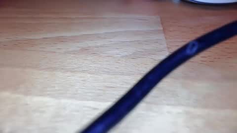 rudi1958631243 online show from 11, 3, 2026