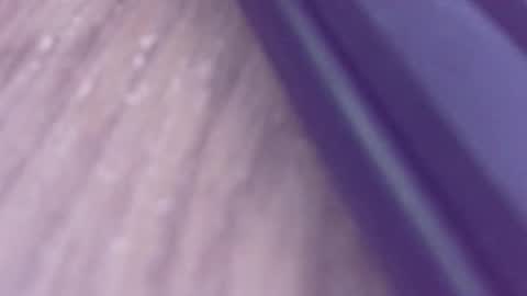 rudiandhisdick online show from 26, 3, 2026