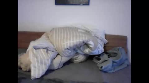 rudolf28 online show from 1, 4, 2026