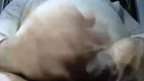 ruggy35 online show from 7, 12, 2024