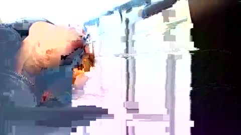 rushover63 online show from 3, 3, 2025