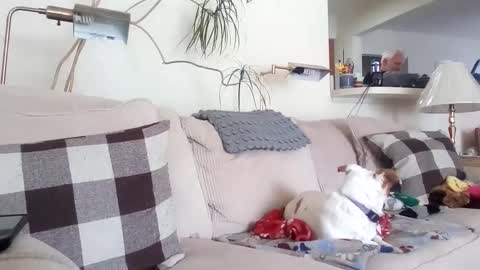 Snapshot of rustyx22 chatting on 8, 3, 2025 Rusty online show from 8, 3, 2025