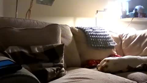 Snapshot of rustyx22 chatting on 2, 10, 2025 Rusty online show from 2, 10, 2025