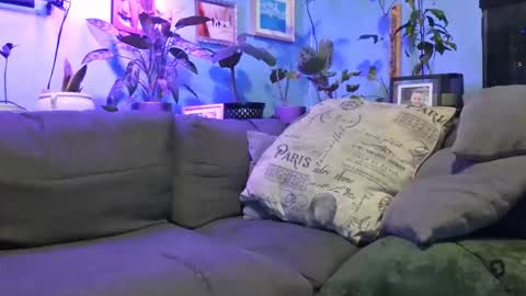 Snapshot of ryantate_88 chatting on 23, 12, 2025 ryantate_88 online show from 23, 12, 2025