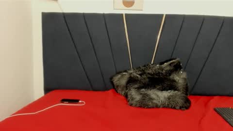 ryder_cum23 online show from 12, 11, 2025