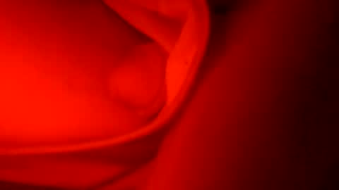 Snapshot of ryucravenmore chatting on 5, 10, 2025 ryucravenmore online show from 5, 10, 2025