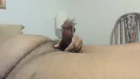 s901258 online show from 8, 12, 2024