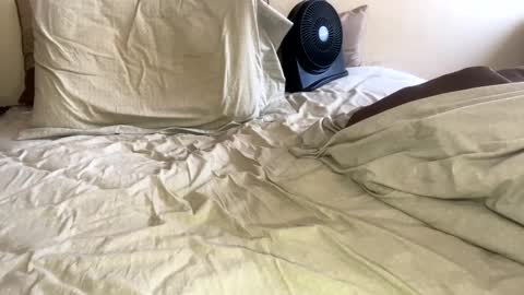 R online show from 26, 1, 2025