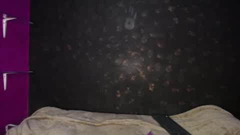 Snapshot of sadiie_queen chatting on 19, 12, 2024 Sadie Queen online show from 19, 12, 2024