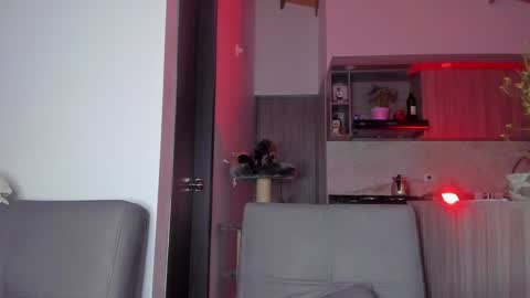 Sag online show from 22, 12, 2024