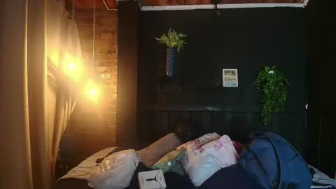 SARA online show from 29, 6, 2026