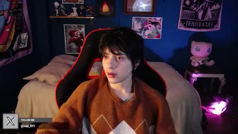 SAI online show from 13, 12, 2024