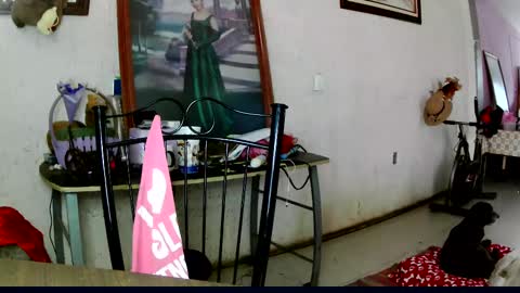 ruby  chocoholic cakeholic coffeeholic cookieholic online show from 10, 10, 2025