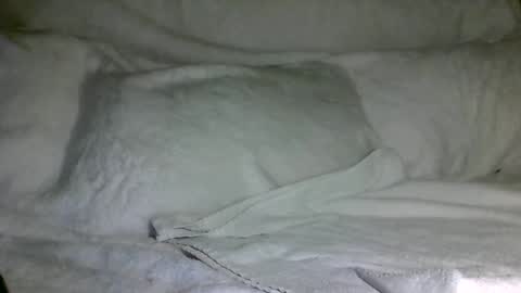 SD17 online show from 31, 12, 2024