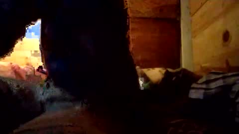 Penoso online show from 14, 12, 2025