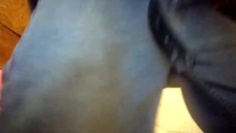 Penoso online show from 23, 12, 2025