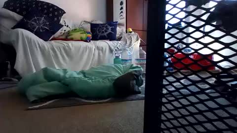 Snapshot of salis1981 chatting on 7, 2, 2025 salis1981 online show from 7, 2, 2025