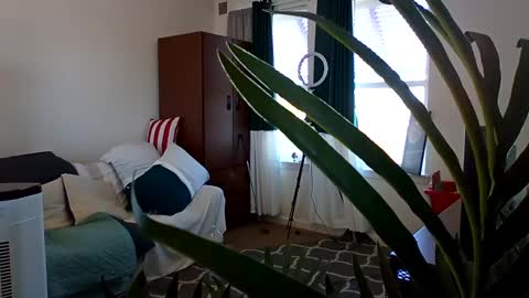 Snapshot of salis1981 chatting on 3, 3, 2025 salis1981 online show from 3, 3, 2025