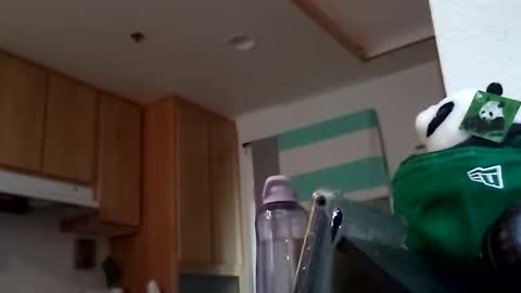 Snapshot of salis1981 chatting on 18, 9, 2025 salis1981 online show from 18, 9, 2025