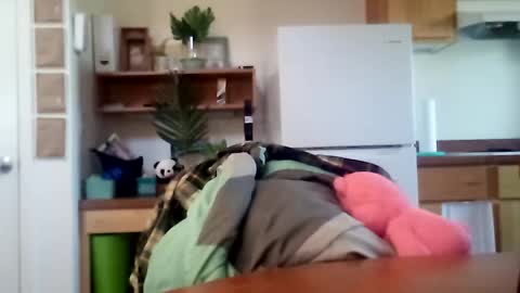 Snapshot of salis1981 chatting on 16, 10, 2025 salis1981 online show from 16, 10, 2025