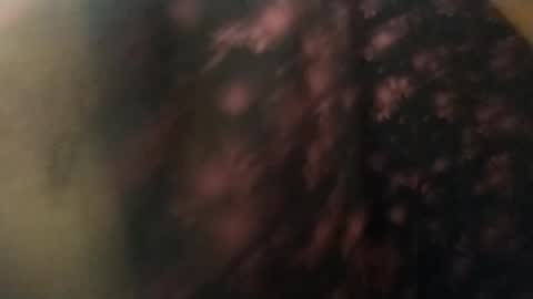 salmonman1305 online show from 17, 1, 2025