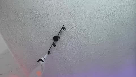 SALOME online show from 13, 4, 2026