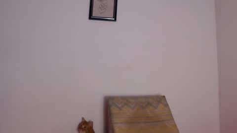 salvatore_amator online show from 26, 4, 2026