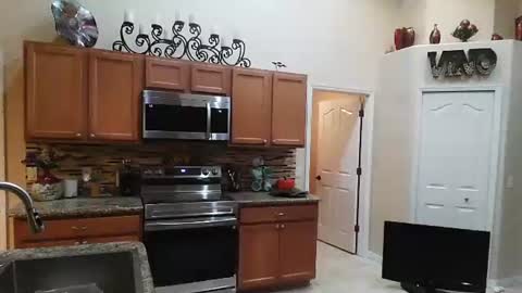 sam_papithebarber online show from 6, 11, 2025