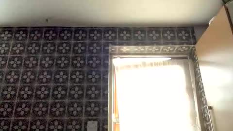 Snapshot of samegee chatting on 16, 10, 2025 samegee online show from 16, 10, 2025