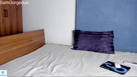 Snapshot of samgorgeous chatting on 3, 12, 2024 Fansly - Top4fans online show from 3, 12, 2024