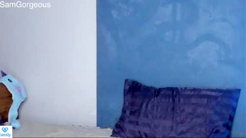 Snapshot of samgorgeous chatting on 30, 1, 2025 Fansly - Top4fans online show from 30, 1, 2025