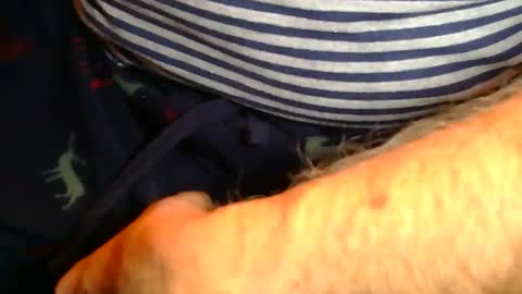 Sam online show from 9, 1, 2026