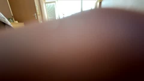 Maritine online show from 16, 1, 2026