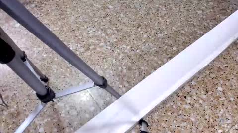 sara_salgado online show from 12, 2, 2026