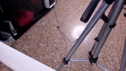 sara_salgado online show from 23, 2, 2026